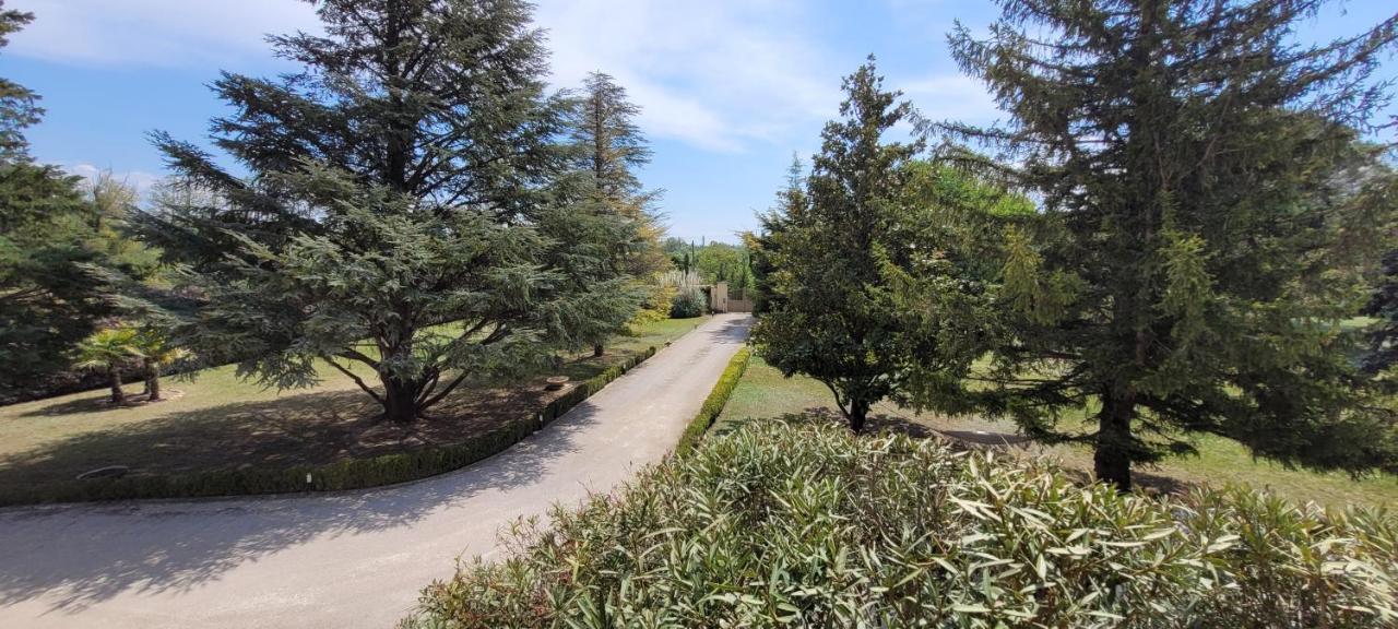 Villa Liberty Entraigues-sur-la-Sorgue ภายนอก รูปภาพ
