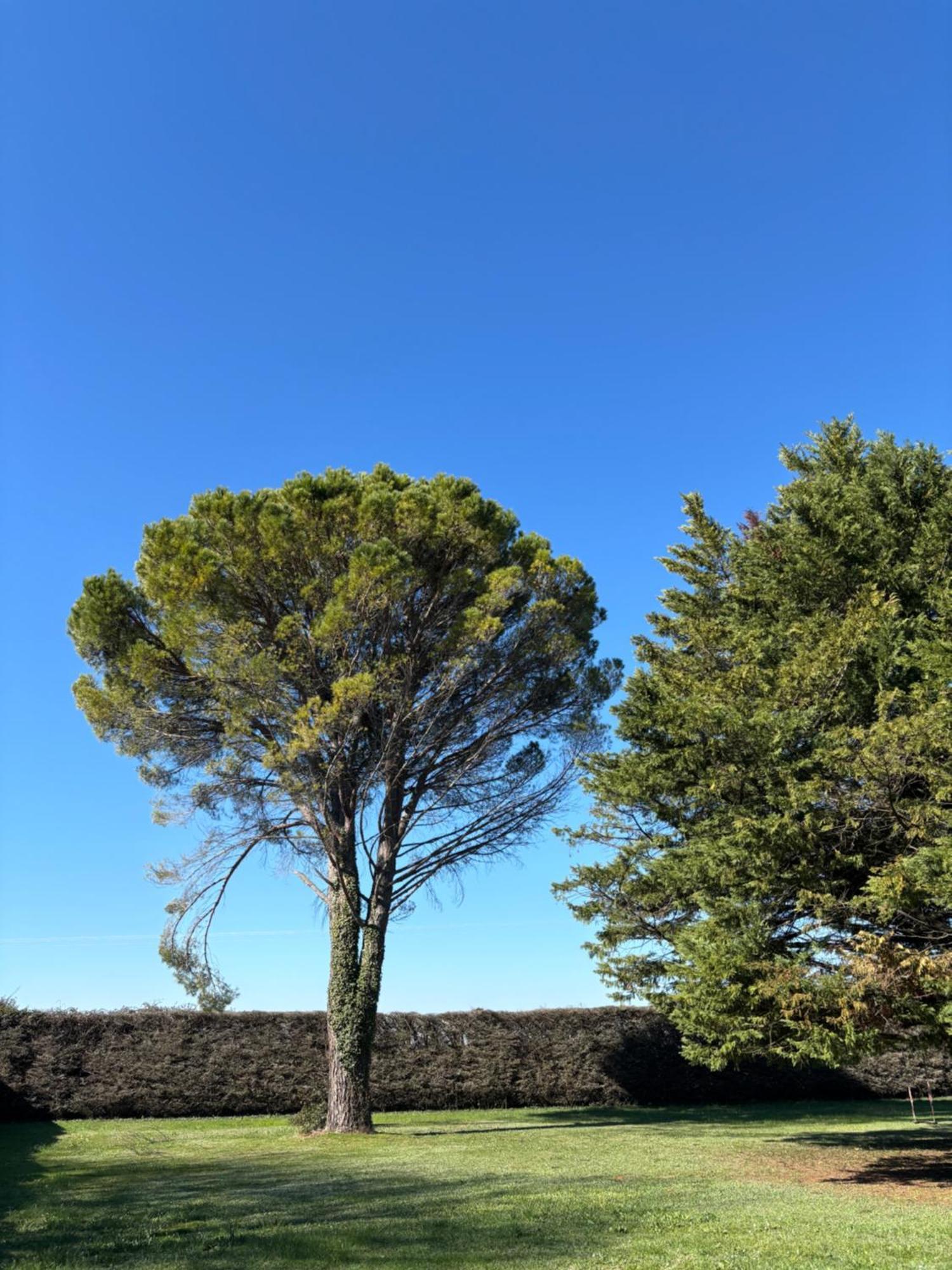 Villa Liberty Entraigues-sur-la-Sorgue ภายนอก รูปภาพ